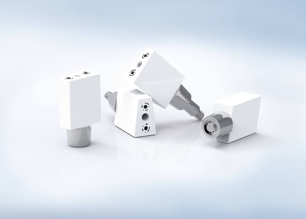 Screw-retained® - Desktop Scanbody - Boite de 2 - Straumann