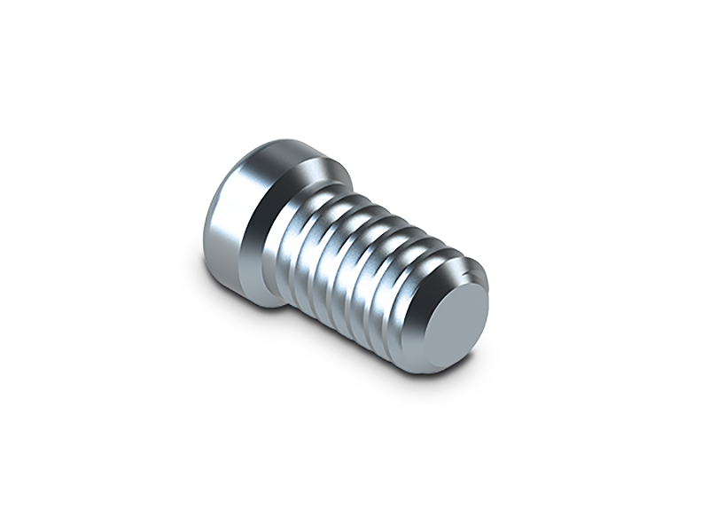 [ZFX09002326] Octa® (External Octagon) - Vis standard - Straumann®
