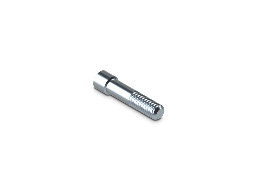 [ZFX09002185] SKY® Bredent - Vis standard