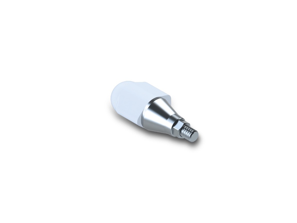 AnyRidge® - IOS Scanbody - Boîte de 2 - Megagen®
